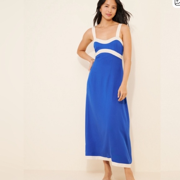 Anthropologie Other - Sancia x Anthropologie Amara Paradise Found Blue and White Dress M medium